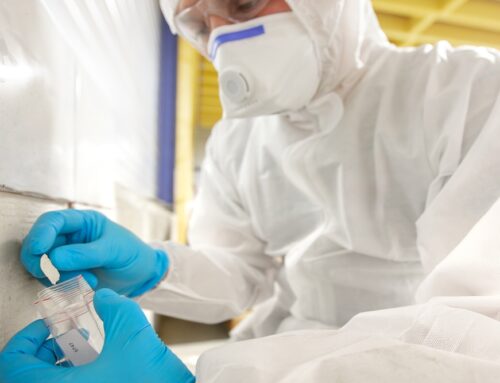 Wollongong Asbestos Testing: What You Need to Know