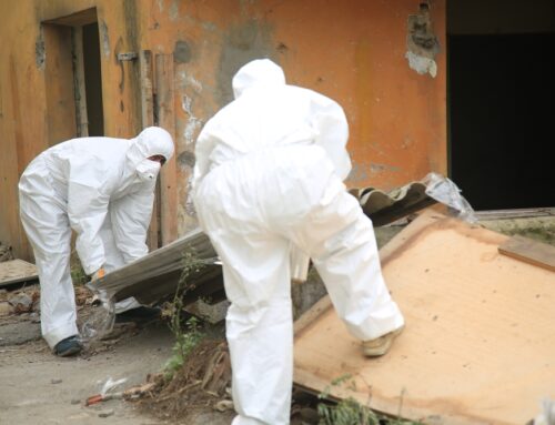 Commercial Asbestos Removal Wollongong: What Businesses Must Know