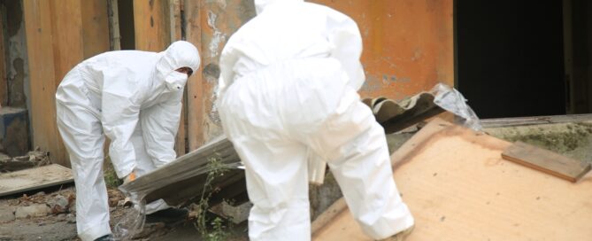 Professional asbestos Removal