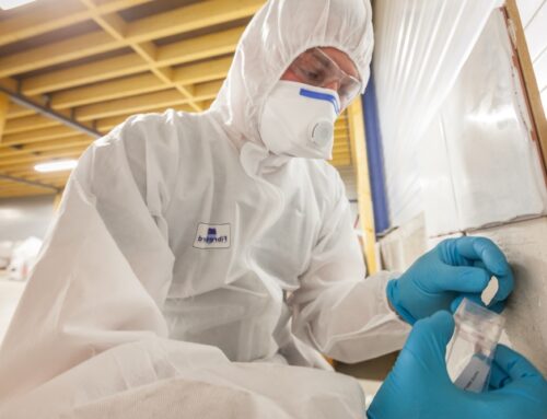 Friable Asbestos Removal Services Wollongong